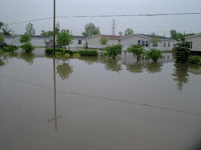 Picture 416.jpg